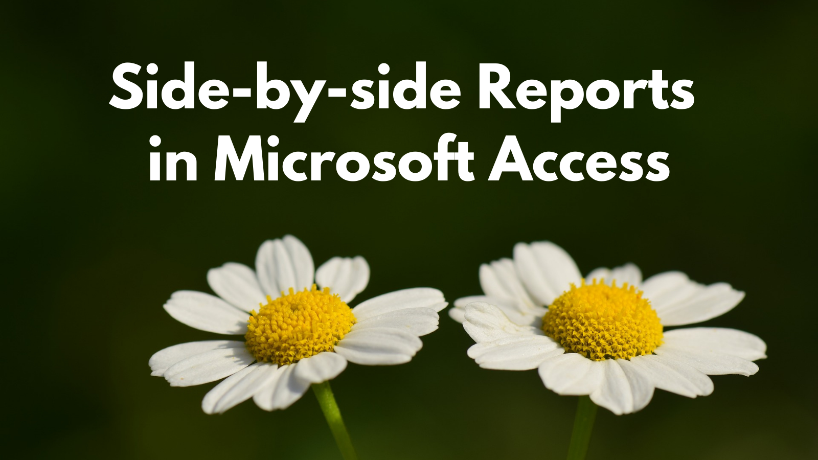 Side-by-Side Reports in Access