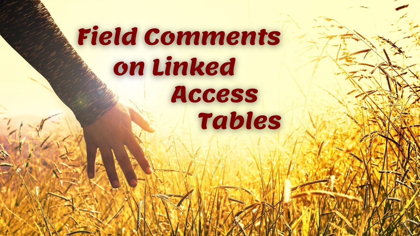 Field Comments on Linked Access Tables