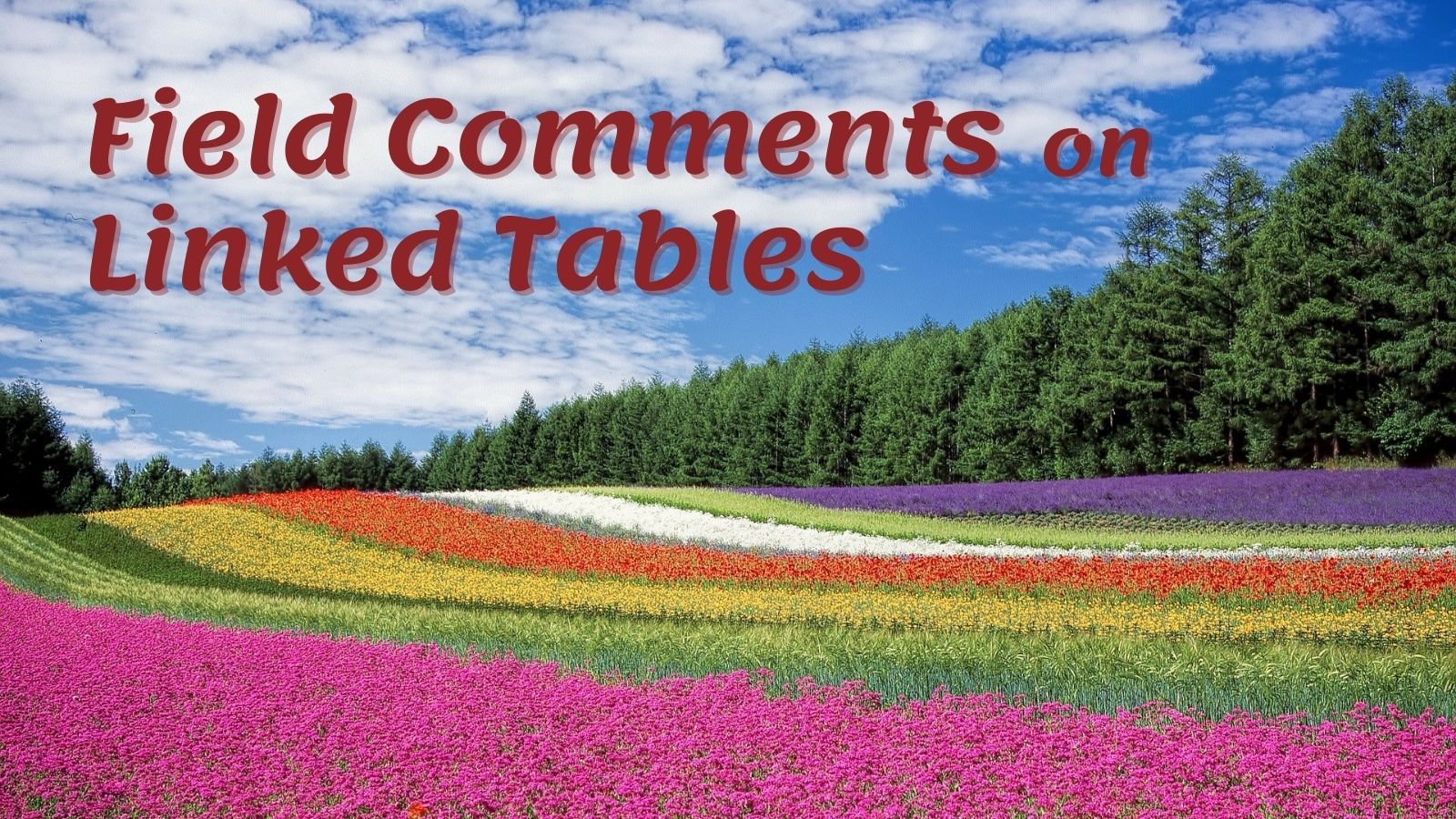 Field Comments on Linked Tables