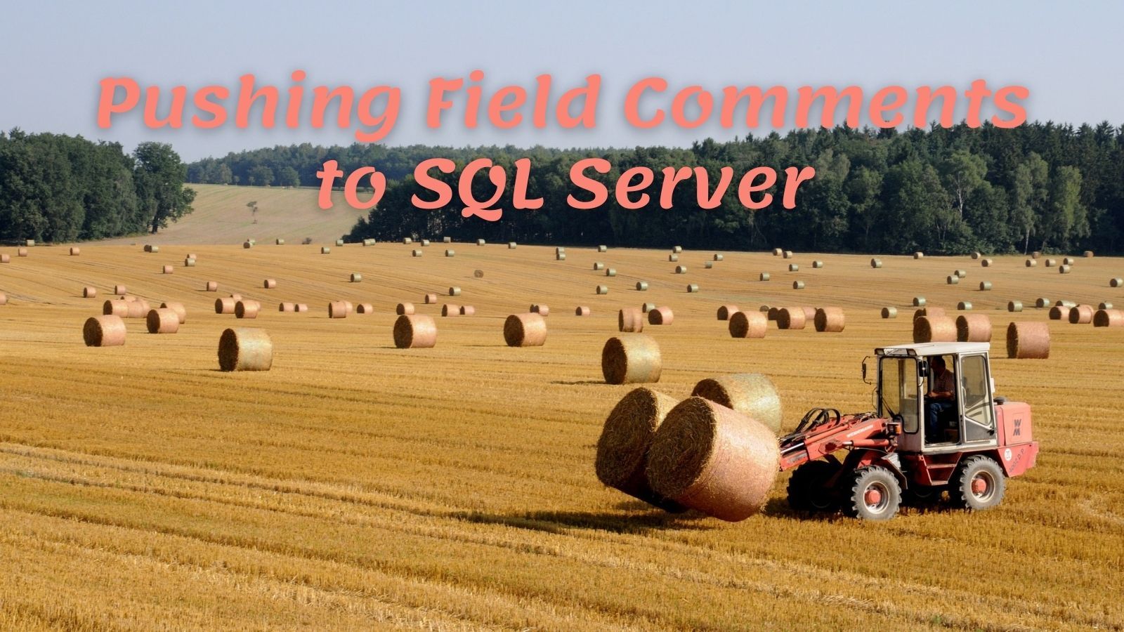 Pushing Field Comments to SQL Server