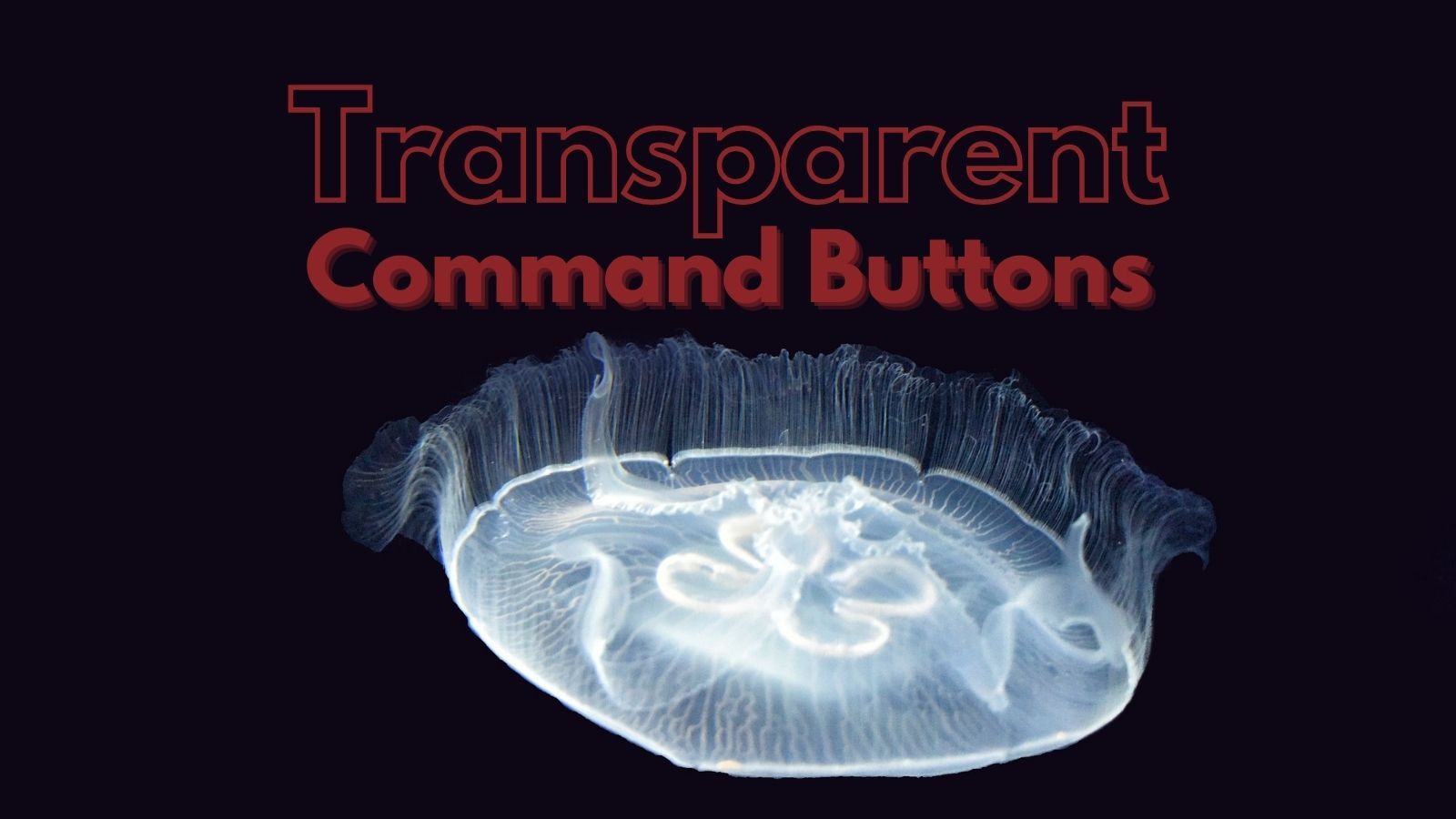 4 Uses for Transparent Command Buttons in Microsoft Access