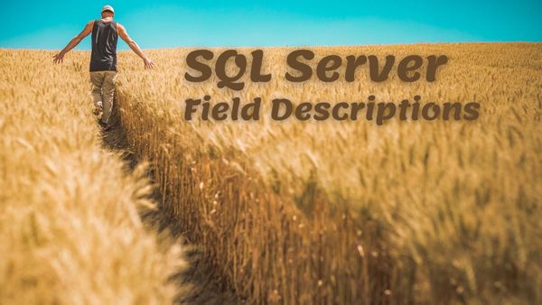 Setting SQL Server Field Descriptions