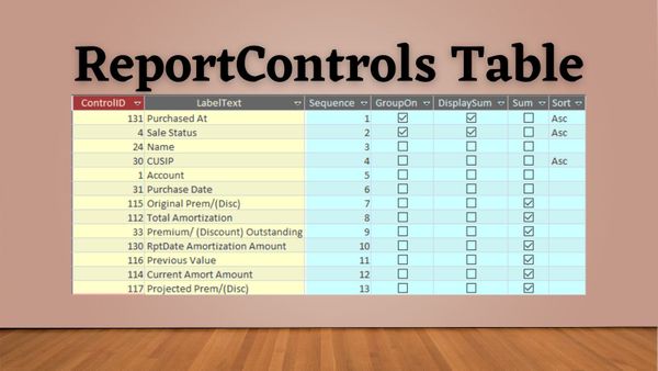 Report Builder: The Local ReportControls Table